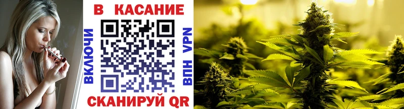 ГАШИШ Кедровый
