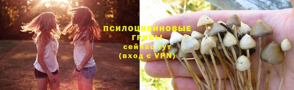 соль курить ск Каменногорск