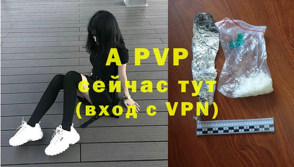 хмурый Туринск