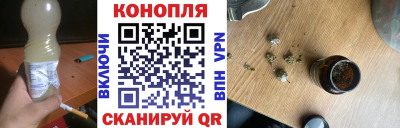 Канабис план  Кедровый 